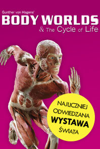 BODY WORLDS & The Cycle of Life – Poznań