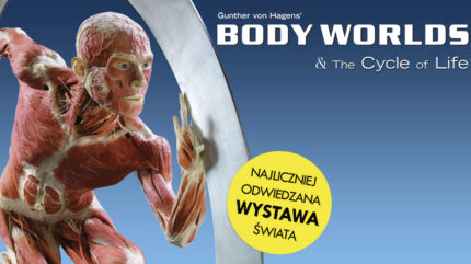 BODY WORLDS & The Cycle of Life – Katowice