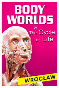 Wystawa Body Worlds & The Cycle of Life – Wrocław