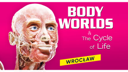 Wystawa Body Worlds & The Cycle of Life – Wrocław